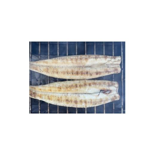 ふるさと納税 うなぎ 大阪府 四條畷市 国産うなぎ 大サイズ140g -170g 三河一色産 2尾セット 炭火白焼き 1659391