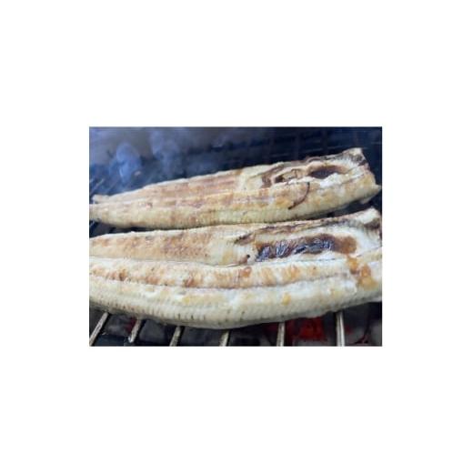 ふるさと納税 うなぎ 大阪府 四條畷市 国産うなぎ 特大サイズ180g-220g 三河一色産 2尾 炭火白焼き 1659392