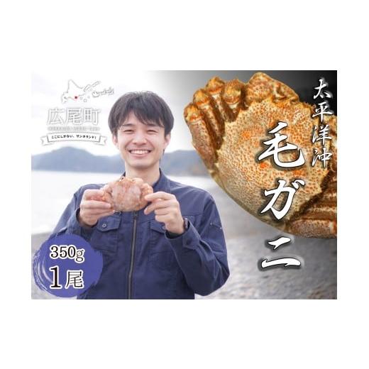 ふるさと納税 カニ 毛ガニ 北海道 広尾町 ボイル毛ガニ 350g 1尾(茹で冷凍) けがに ケガニ 毛蟹 毛がに カニ 太平洋 北海道 広尾町 冷凍 ボイル…