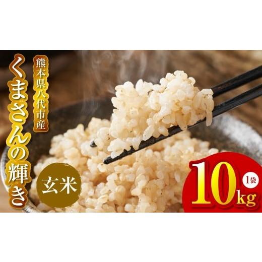ふるさと納税 玄米 熊本県 八代市 先行予約 [令和7年産] くまさんの輝き 玄米 10kg 熊本県 八代市産 米 お米 国産 2025年11月下旬より順次発送