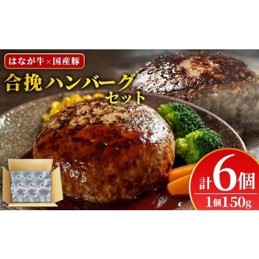 ふるさと納税 牛肉 ハンバーグ 愛媛県 西予市 合挽ハンバーグセット 6個(1個150g) セット ハンバーグ はんばーぐ 合挽肉 肉 お肉 牛肉 豚肉 肉加工品 お惣…