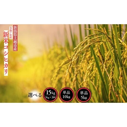 ふるさと納税 米 コシヒカリ 新潟県 上越市 新米 令和7年産 新潟県 上越市産 コシヒカリ 10kg 10キロ 精米 10月下旬より順次出荷 米 お米 白米