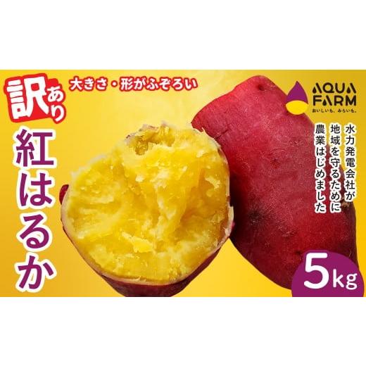 ふるさと納税 飲料類 茨城県 常陸太田市 訳あり さつまいも 「べにはるか」 5kg | 甘い 焼き芋 お取り寄せ 紅はるか スイーツ 訳アリ おやつ 秋の味覚 ギフト…