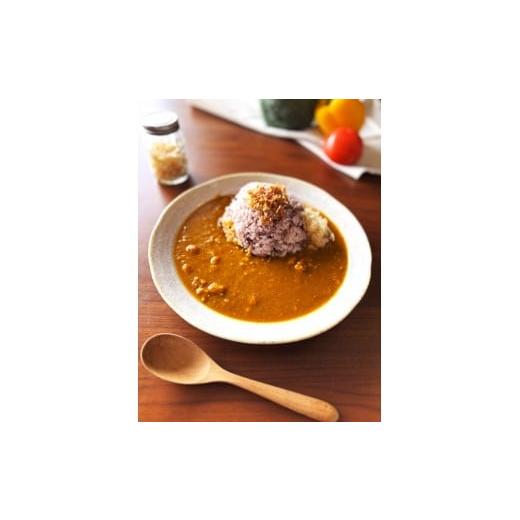 ふるさと納税 惣菜・レトルト 冷凍 鳥取県 三朝町 とりとるキッチンのスパイスカレー