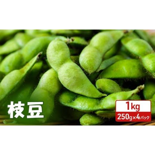 ふるさと納税 豆類 枝豆 秋田県 羽後町 先行受付 秋田県 羽後町産 枝豆 1kg (250g×4) えだまめ 簡単調理レンジ 国産 国産野菜 おつまみ