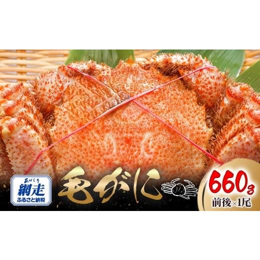 ふるさと納税 カニ 毛ガニ 北海道 網走市 網走産 毛がに660g前後×1尾 ふるさと納税 人気 おすすめ ランキング かに カニ 蟹 毛ガニ 毛がに 毛蟹 網走産 冷凍 …