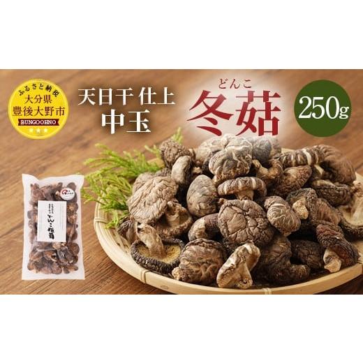 ふるさと納税 乾物 干ししいたけ 大分県 豊後大野市 015-295x2 豊後大野市産 天日干仕上 中玉 冬? どんこ 250g 干ししいたけ 椎茸