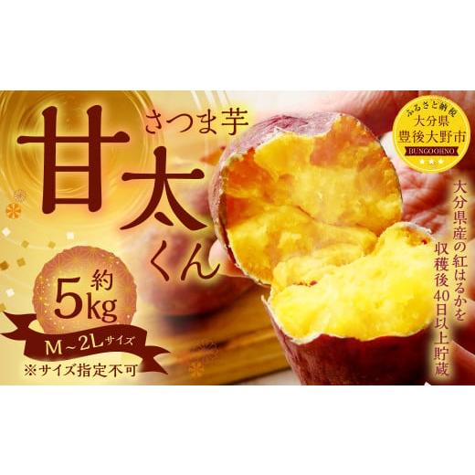 ふるさと納税 野菜類 サツマイモ 大分県 豊後大野市 134-1145x1 甘太くん 5kg(M〜2Lサイズ) さつまいも 芋 紅はるか 2025年12月下旬〜2026年4月上旬発送予…