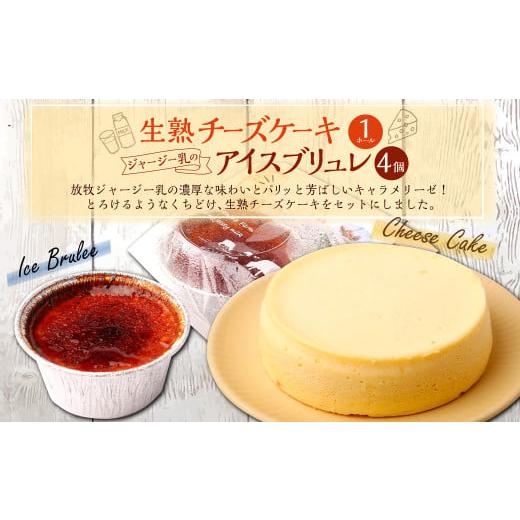 ふるさと納税 ケーキ・カステラ チーズケーキ 高知県 香美市 生熟チーズケーキ(1ホール)&amp;ジャージー乳のアイスブリュレ(4個)