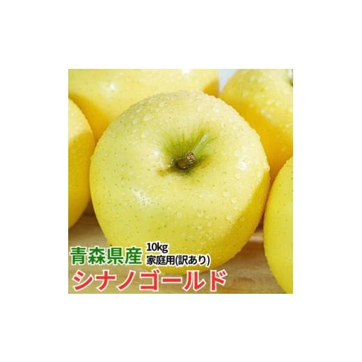 ふるさと納税 りんご 青森県 大鰐町 平均糖度13度以上 シナノゴールド 約10kg 訳あり 1667957