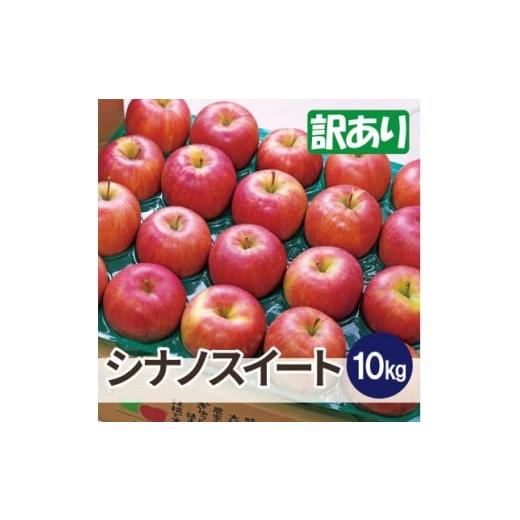 ふるさと納税 りんご 青森県 大鰐町 平均糖度13度以上 シナノスイート 約10kg 訳あり 1667963