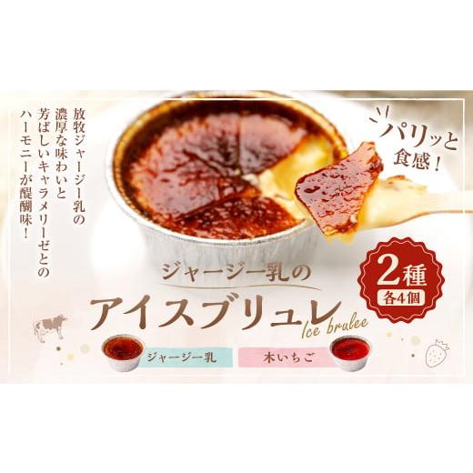 ふるさと納税 菓子 詰合せ 高知県 香美市 ジャージー乳のアイスブリュレ(4個)&木いちごのアイスブリュレ(4個)