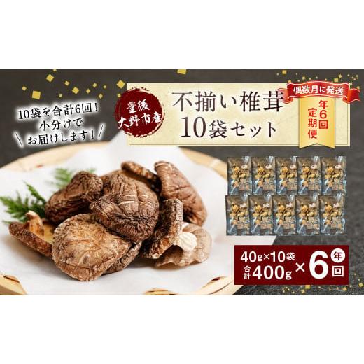 ふるさと納税 乾物 干ししいたけ 大分県 豊後大野市 015-962x2 定期便偶数月発送年6回 不揃い 椎茸 10袋×6回