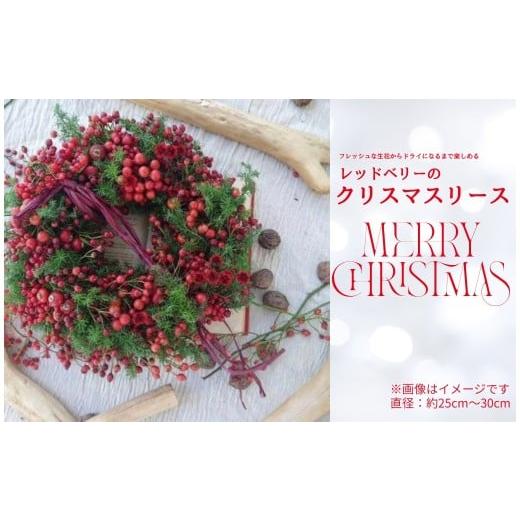 ふるさと納税 カバン ショルダーバッグ 奈良県 奈良市 期間限定 クリスマスリース ナチュラルスタイルのクリスマスリース 人気フローリストが作る リース クリ…