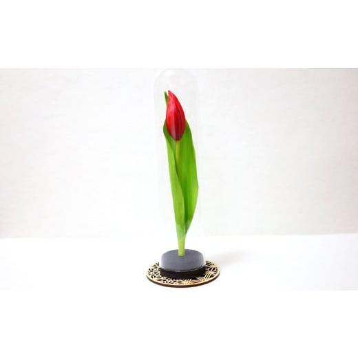 ふるさと納税 雑貨・日用品 花 鳥取県 日吉津村 チューリップのプリザーブドフラワー