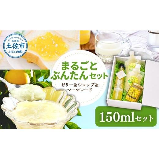 ふるさと納税 菓子 ゼリー 高知県 土佐市 まるごとぶんたんセット 150mlセット ブンタン 文旦 シロップ マーマレード ゼリー フルーツ 果物 柑橘 みかん お菓…