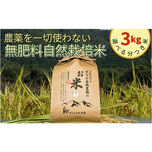 ふるさと納税 米 ヒノヒカリ 京都府 亀岡市 米 令和7年産 自然栽培米 ヒノヒカリ 農薬を一切使わない無肥料栽培 精米(五分つき米)米3kg [京都丹波産 最高…