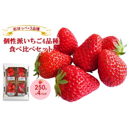 ふるさと納税 いちご 徳島県 松茂町 「紅ほっぺ」+3品種 個性派いちご4品種食べ比べセット 250g×4パック 『とくしま安2(安全・安心)農産物』優秀認定取…