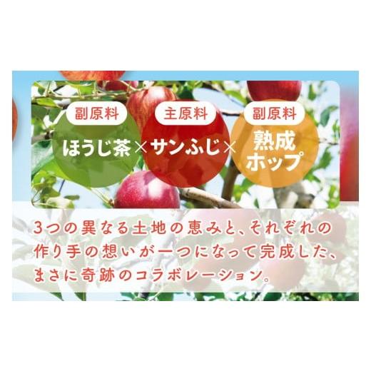 ふるさと納税 洋酒・リキュール類 茨城県 大子町 しいなりんご園 奥