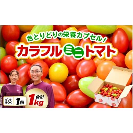 ふるさと納税 野菜類 トマト 福井県 坂井市 カラフルミニトマト5色アソート (赤、オレンジ、イエロー、グリーン、チョコ) 1kgギフト箱入 色とりどりの栄養カプ…
