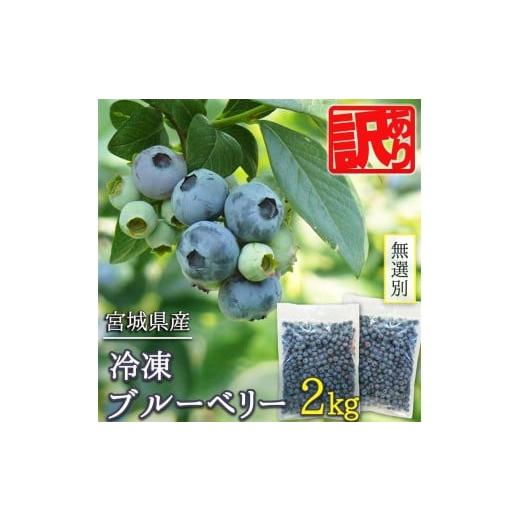 ふるさと納税 果物類 宮城県 登米市 訳あり 無選別 冷凍ブルーベリー 2kg ブルーベリー 果物 フルーツ 朝食 ヨーグルト スムージー 健康 訳アリ 有限会社伊豆…