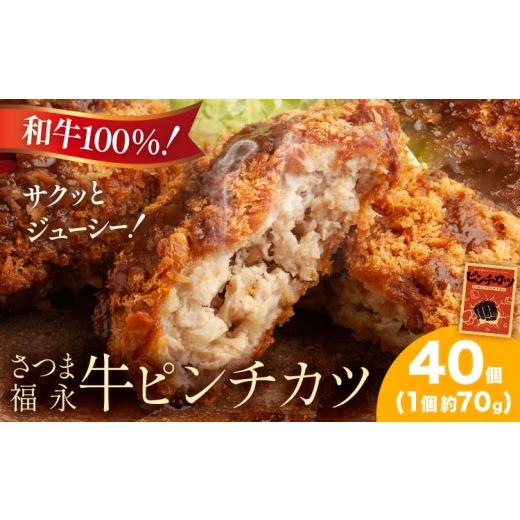 ふるさと納税 肉 揚げ物 鹿児島県 さつま町 和牛100％ サクッとジューシー さつま福永牛ピンチカツ 40個 福永畜産《30日以内に出荷予定(土日祝除く)》鹿児島県…_1