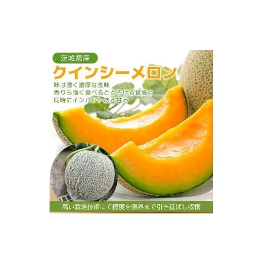 ふるさと納税 メロン メロン青肉 茨城県 鉾田市 2026年5月上旬〜発送 不揃い訳ありクインシーメロン 1玉 ＼上品な甘さとジューシーな食感 /茨城県鉾田市産 ク…