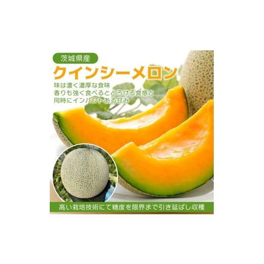 ふるさと納税 メロン メロン赤肉 茨城県 鉾田市 2026年先行予約 発送5月上旬〜 濃厚な甘さとジューシーな果肉 クインシー メロン 1玉 めろん 赤肉 人気 おすす…