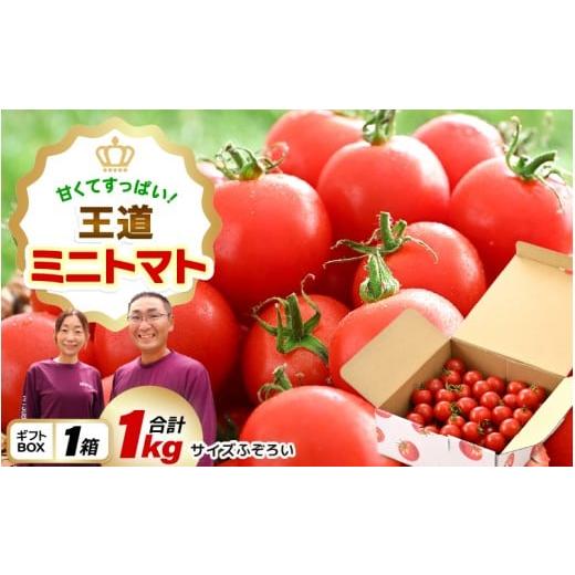 ふるさと納税 野菜類 トマト 福井県 坂井市 甘くて酸っぱい王道ミニトマト たっぷり1kg とまと トマト ミニトマト 野菜 生野菜 美容 健康 新鮮 産地直送 贈答 …