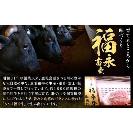 ふるさと納税 肉 揚げ物 鹿児島県 さつま町 和牛100％ サクッとジューシー さつま福永牛ピンチカツ 50個 福永畜産《30日以内に出荷予定(土日祝除く)》鹿児島県…_2