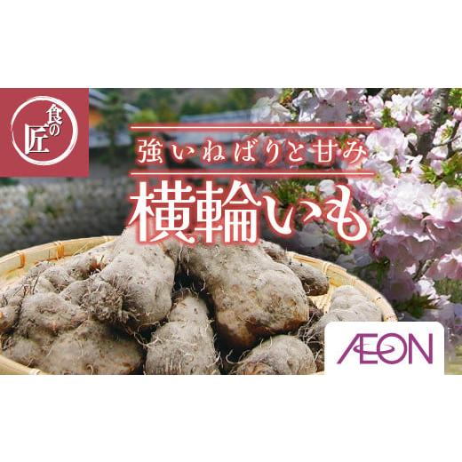 ふるさと納税 人参・大根・他根菜 三重県 伊勢市 1859 伊勢の横輪いも 11月中旬以降の発送 横輪いも 芋 いも 山芋 とろろいも 生野菜 ねばり 伊勢 特産品 ご…