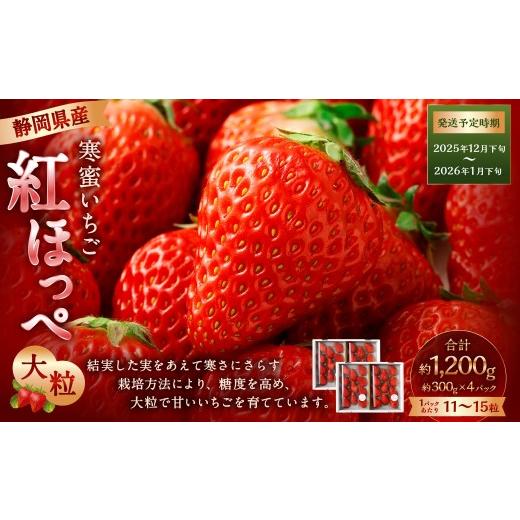 ふるさと納税 いちご 静岡県 菊川市 寒蜜いちご 紅ほっぺ 大粒 4パック(約300g×4パック) 2025年12月下旬-2026年1月下旬発送予定 配送不可:北海道・沖縄・…