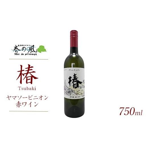ふるさと納税 ワイン 赤ワイン 愛知県 春日井市 春日井ワイナリ−春の風 (椿)ヤマソービニオン赤ワイン 750ml