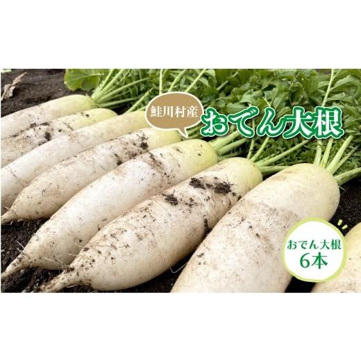 ふるさと納税 野菜類 大根 山形県 鮭川村 鮭川村産 おでん大根
