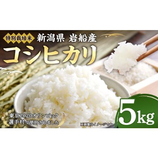 ふるさと納税 米 コシヒカリ 新潟県 村上市 12月から順次発送 令和7年産米 特別栽培米 新潟県村上市岩船産 コシヒカリ 5kg 1029003
