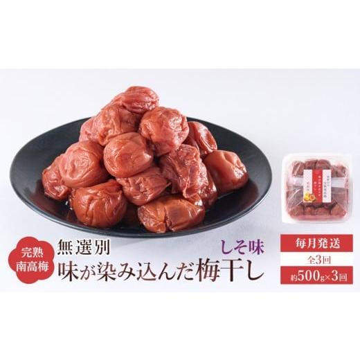 ふるさと納税 加工品等 梅干 和歌山県 和歌山市 無選別 和歌山の完熟南高梅 味が染み込んだ梅干し しそ味 500g 塩分10% 定期便 毎月発送・全3回