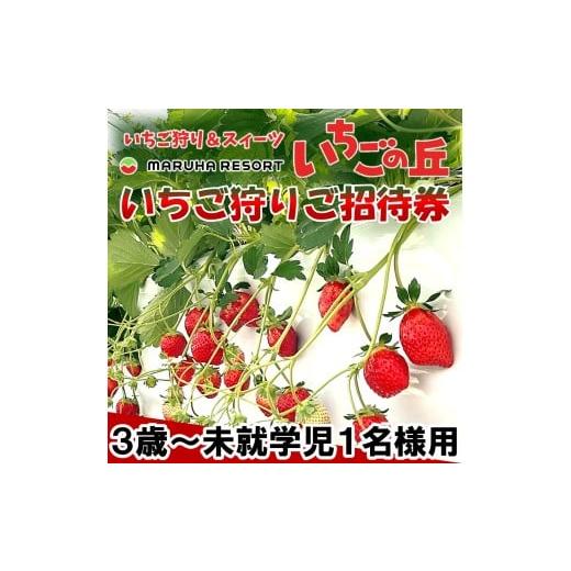 ふるさと納税 体験チケット 愛知県 南知多町 まるは食堂 マルハリゾート いちごの丘『いちご狩り』3歳〜未就学児用ご招待券(1名様用) いちご いちご狩り 章姫 …