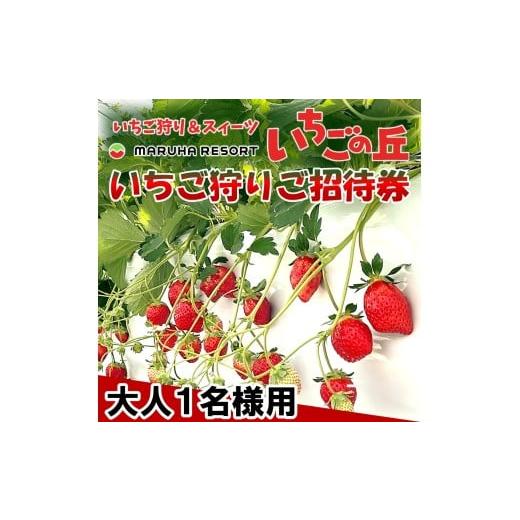 ふるさと納税 体験チケット 愛知県 南知多町 まるは食堂 マルハリゾート いちごの丘『いちご狩り』ご招待券 大人(中学生以上)1名様用 いちご いちご狩り …
