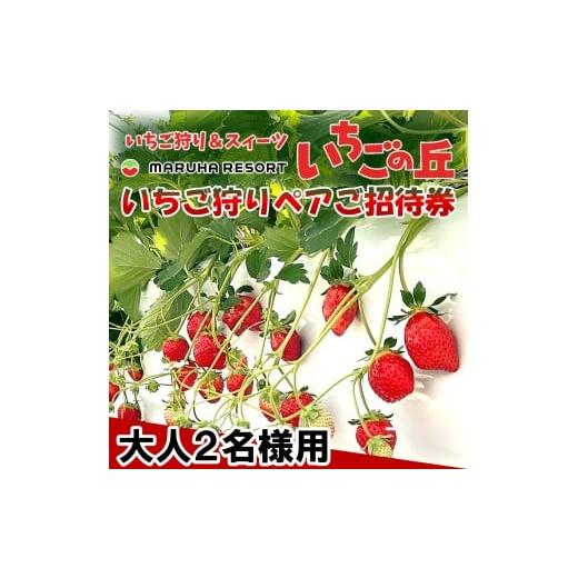 ふるさと納税 体験チケット 愛知県 南知多町 まるは食堂 マルハリゾート いちごの丘『いちご狩り』ペアご招待券 大人(中学生以上)2名様用 いちご いちご狩…