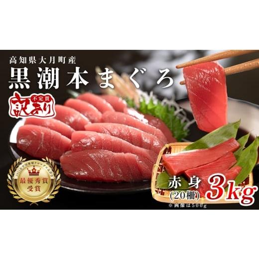 ふるさと納税 マグロ 高知県 大月町 訳アリ 養殖本マグロ 赤身 3kg 黒潮本まぐろ|大容量 不定貫 不揃い 刺身用 業務用 養殖まぐろ 最優秀賞受賞 日本一 配達…