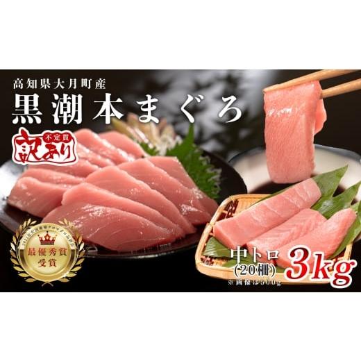 ふるさと納税 マグロ 高知県 大月町 訳アリ 養殖本マグロ 中トロ 3kg 黒潮本まぐろ レビューキャンペーン実施中 |大容量 不定貫 不揃い 刺身用 業務用 養殖…