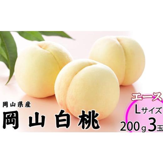 ふるさと納税 もも 岡山県 美咲町 岡山白桃 エース 3玉 × 約200g 計約600g 岡山県産 (早生種・中生種) 2026年7月上旬〜8月下旬迄発送予定 / 白桃 桃 もも …