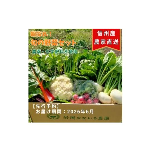 ふるさと納税 セット・詰合せ 長野県 佐久市 先行予約[出荷時期:2026年6月出荷] 朝採れおまかせ旬の高原野菜 7種セット (北海道・沖縄県・離島は配送不可)…