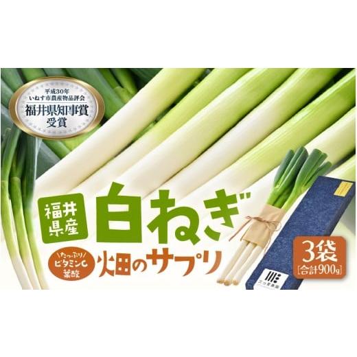 ふるさと納税 野菜類 ねぎ 福井県 坂井市 先行予約 ビタミンCと葉酸たっぷり「畑のサプリ白ネギ」食べきり3袋 2025年11月以降順次発送予定 長ネギ 長ねぎ 葱 …