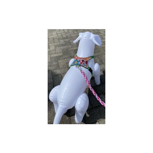 ふるさと納税 雑貨・日用品 静岡県 焼津市 b111-001 中型犬ハーネス首輪の画像