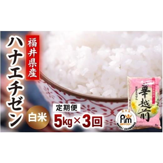 ふるさと納税 米 福井県 越前町 新米令和7年産 米 定期便 3ヶ月連続お届け ハナエチゼン 5kg × 3回(合計15kg)精米 福井県越前町産 白米 5キロ 華越前 はな…