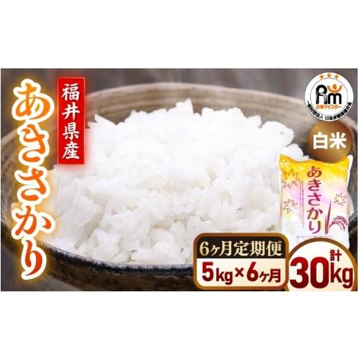 ふるさと納税 米 福井県 越前町 新米 令和7年産 米 定期便6ヶ月 あきさかり 精米 5kg × 6回(計30kg)福井県産 白米 5キロ 30キロ アキサカリ お米 ごはん …