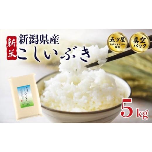 ふるさと納税 米 新潟県 新発田市 12月配送 こしいぶき 5kg 令和7年産 五つ星お米マイスター 真空パック 米 新米 新発田産 備蓄 非常 防災 長期保存 アウトド…