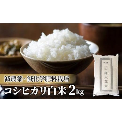 ふるさと納税 米 コシヒカリ 長野県 東御市 令和7年産 八重原産コシヒカリ白米2kg 特別栽培米(減農薬・減化学肥料栽培) 太陽と大地
