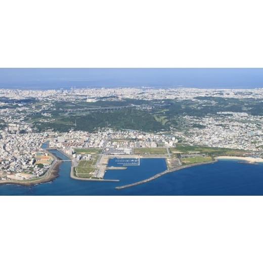ふるさと納税 ビール 沖縄県 与那原町  毎月定期便 毎月届く楽しみ オリオンビール ザ・プレミアム 350ml×24本全3回 4074836の画像